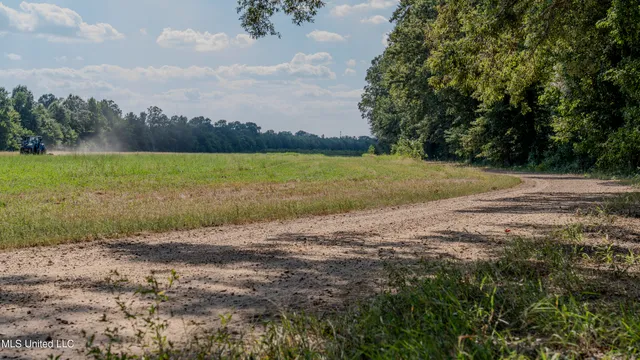 $6,900,000 | 533 County Road, Sidon, MS 38954