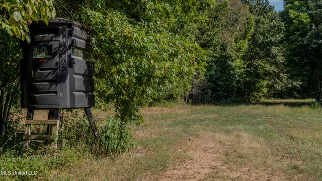 $6,900,000 | 533 County Road, Sidon, MS 38954