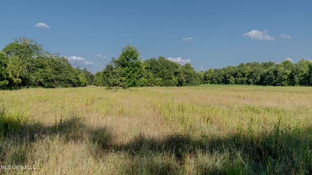 $6,900,000 | 533 County Road, Sidon, MS 38954