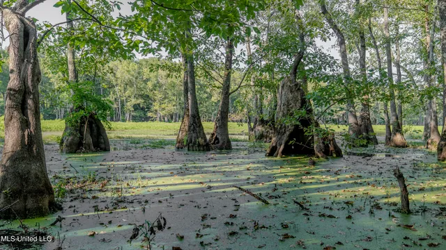 $6,900,000 | 533 County Road, Sidon, MS 38954