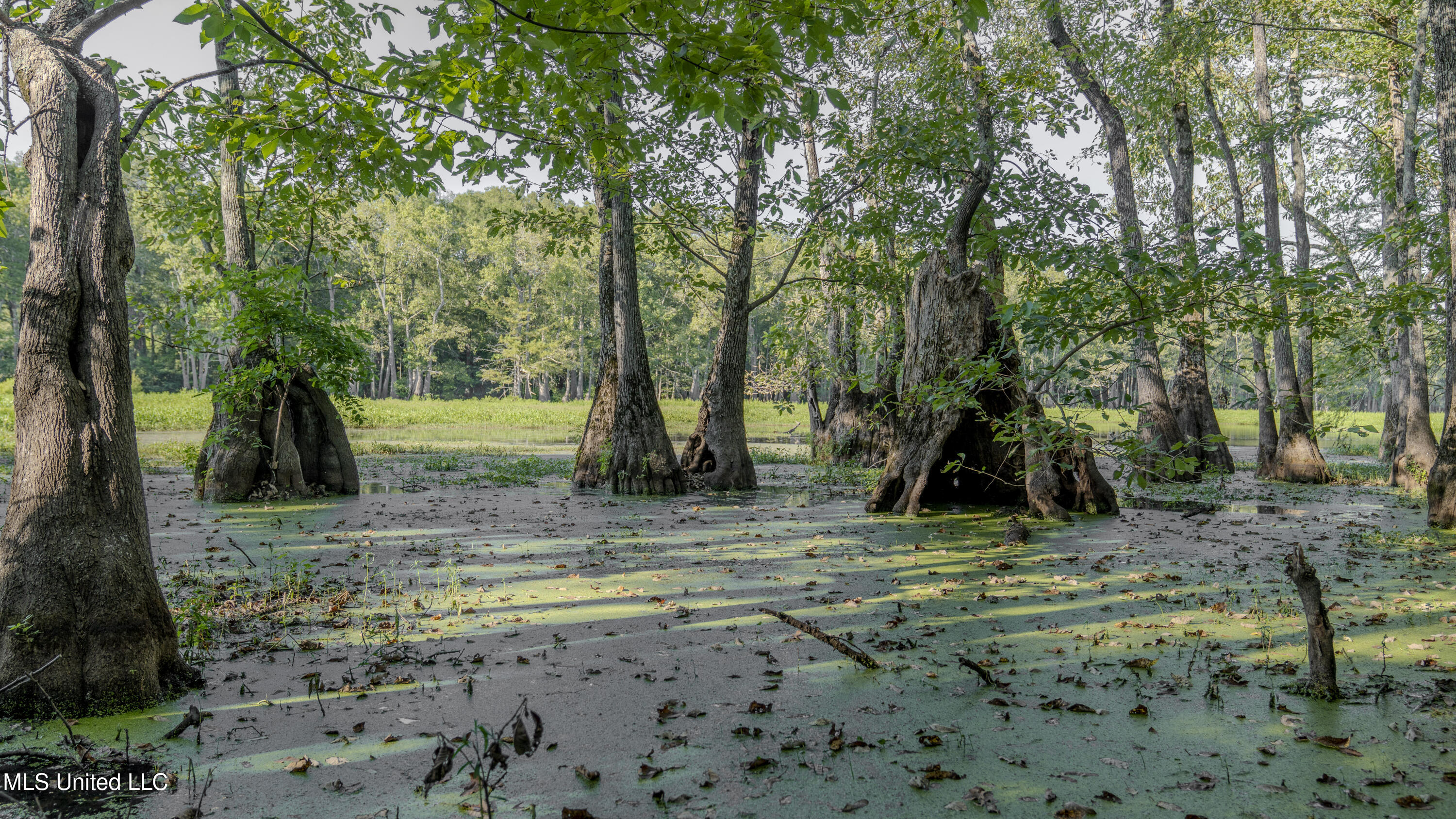 533 County Road Sidon, MS 38954 - Photo 22 of 67 DIXIE BRAKE-PHOTOS-045