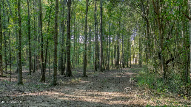 $6,900,000 | 533 County Road, Sidon, MS 38954