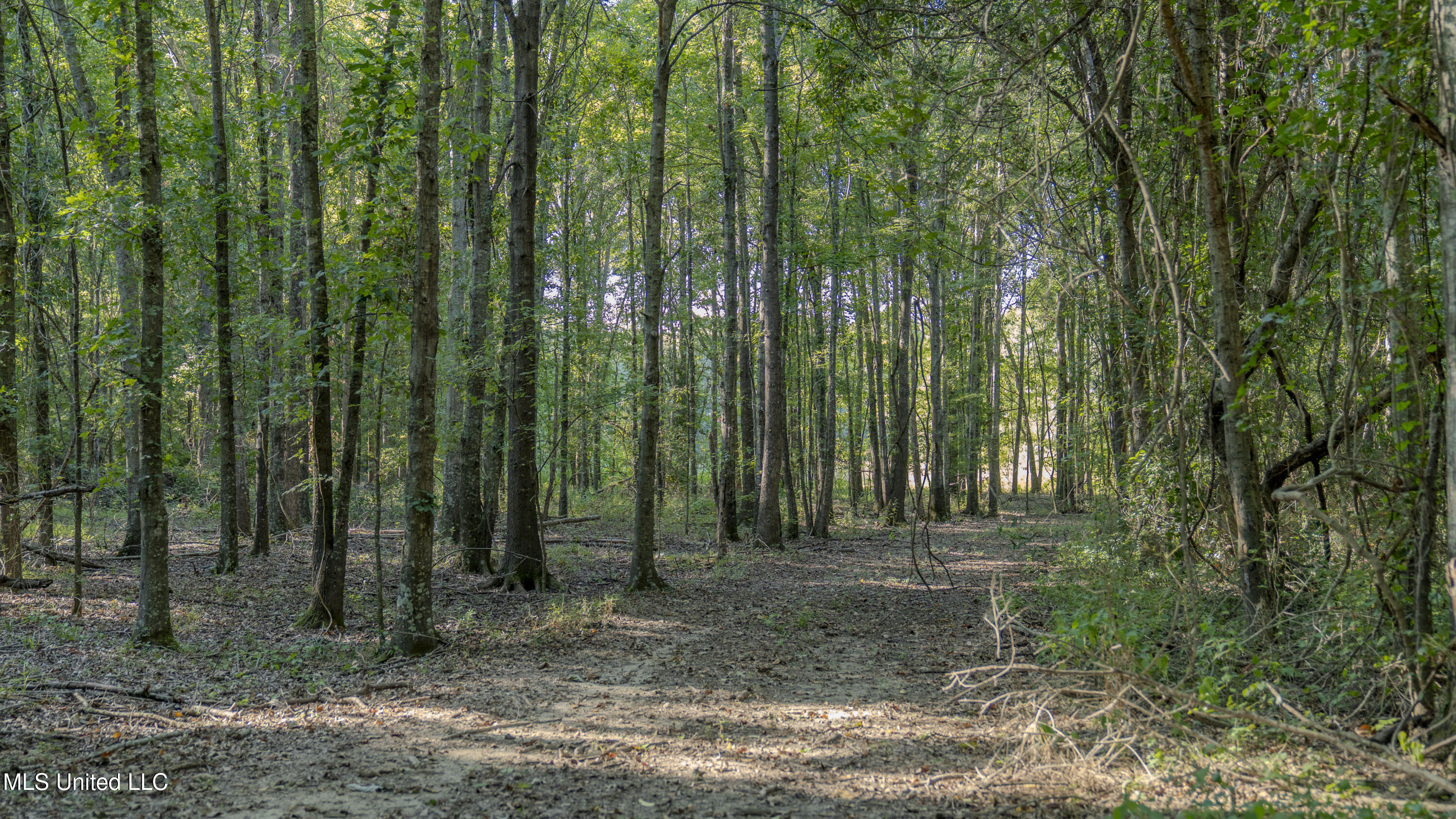 533 County Road Sidon, MS 38954 - Photo 23 of 67 DIXIE BRAKE-PHOTOS-053