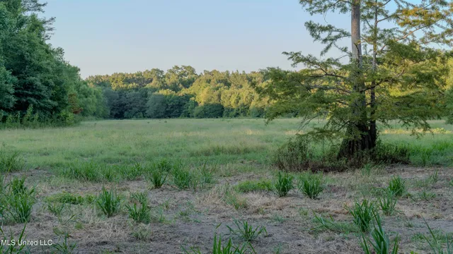 $6,900,000 | 533 County Road, Sidon, MS 38954