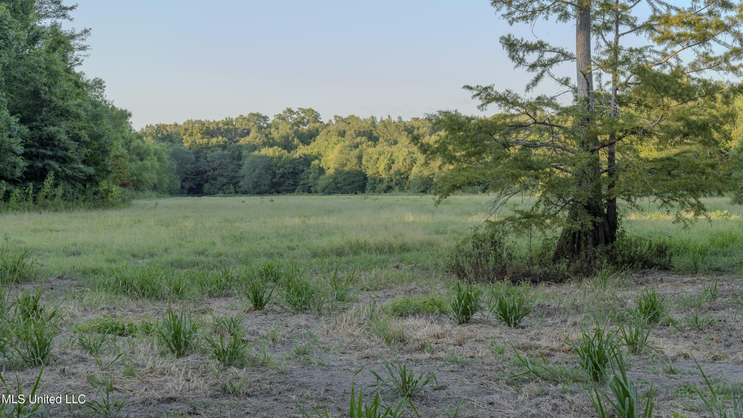 533 County Road Sidon, MS 38954 - Photo 24 of 67 DIXIE BRAKE-PHOTOS-058