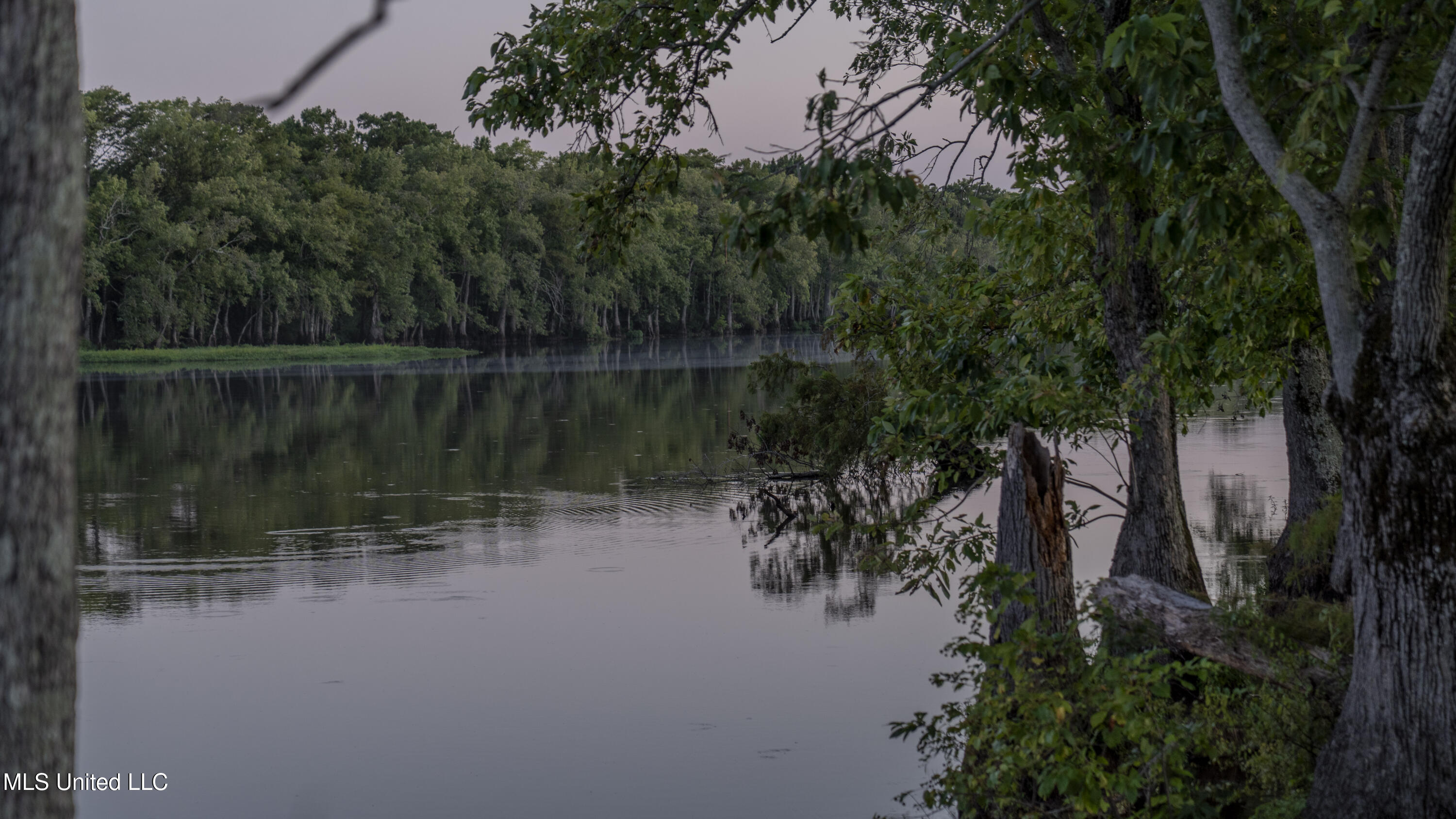 533 County Road Sidon, MS 38954 - Photo 25 of 67 DIXIE BRAKE-PHOTOS-076
