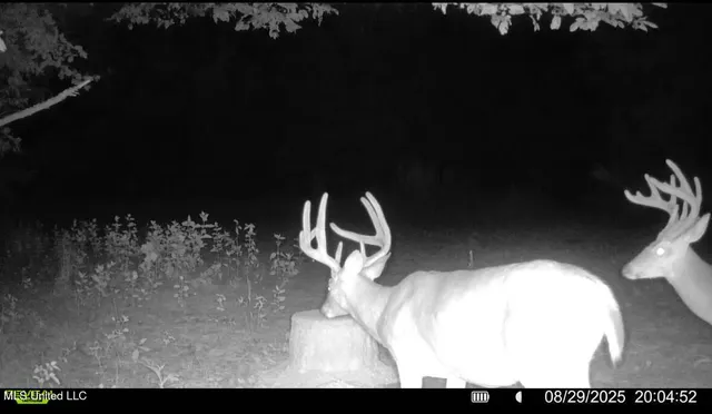 $6,900,000 | 533 County Road, Sidon, MS 38954