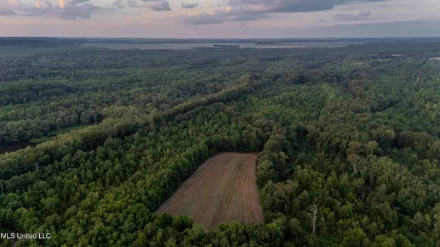 $6,900,000 | 533 County Road, Sidon, MS 38954