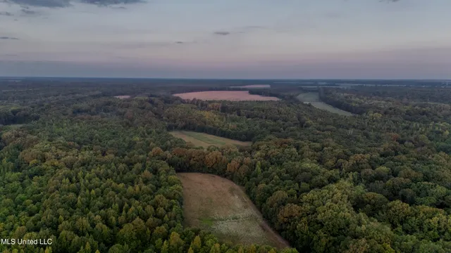 $6,900,000 | 533 County Road, Sidon, MS 38954