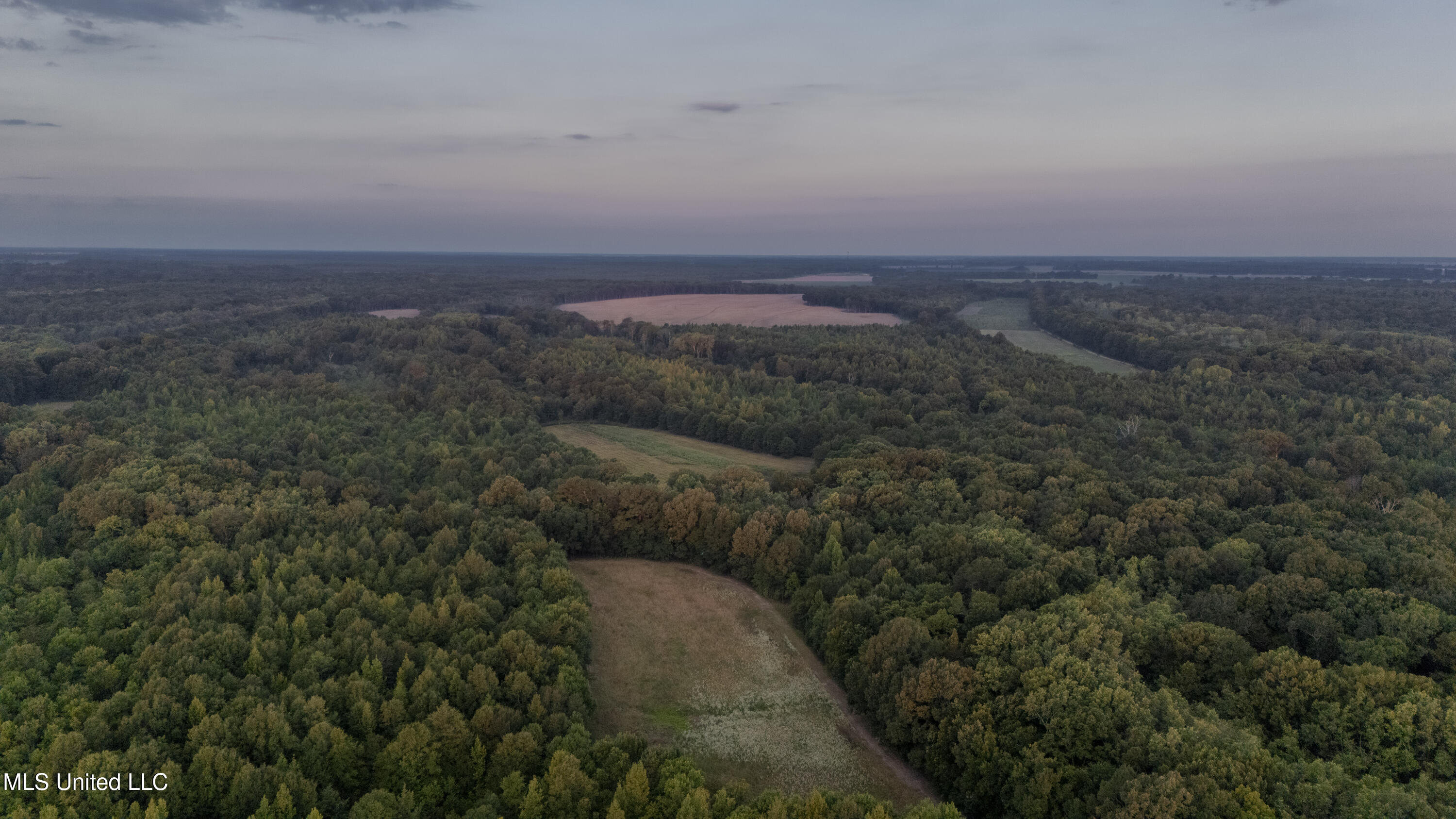 533 County Road Sidon, MS 38954 - Photo 31 of 67 DIXIE BRAKE-PHOTOS-093