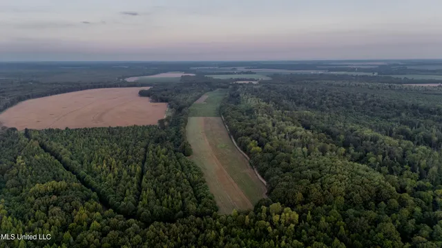 $6,900,000 | 533 County Road, Sidon, MS 38954