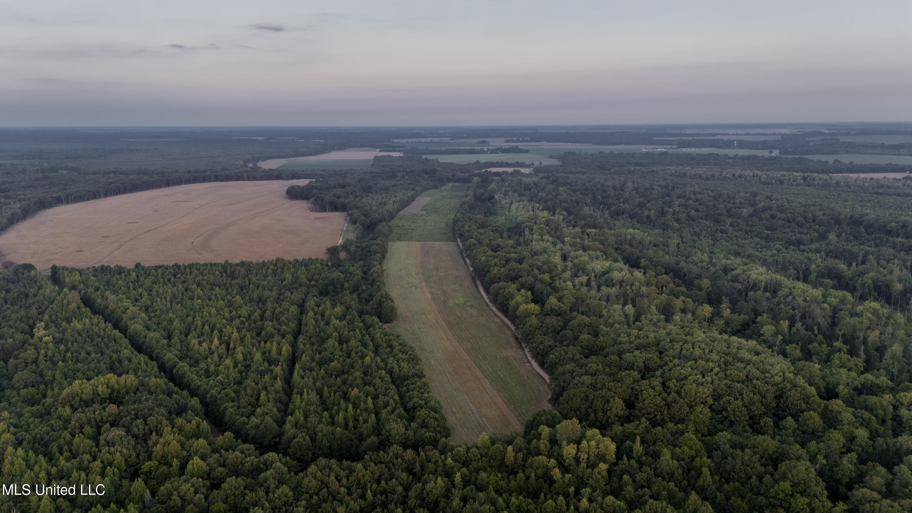 533 County Road Sidon, MS 38954 - Photo 33 of 67 DIXIE BRAKE-PHOTOS-095