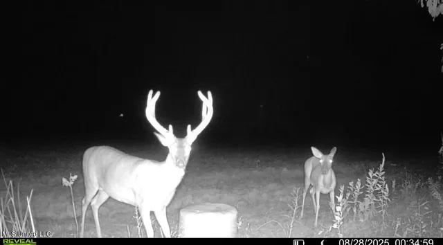 $6,900,000 | 533 County Road, Sidon, MS 38954