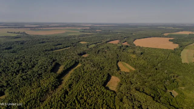 $6,900,000 | 533 County Road, Sidon, MS 38954