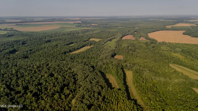 $6,900,000 | 533 County Road, Sidon, MS 38954