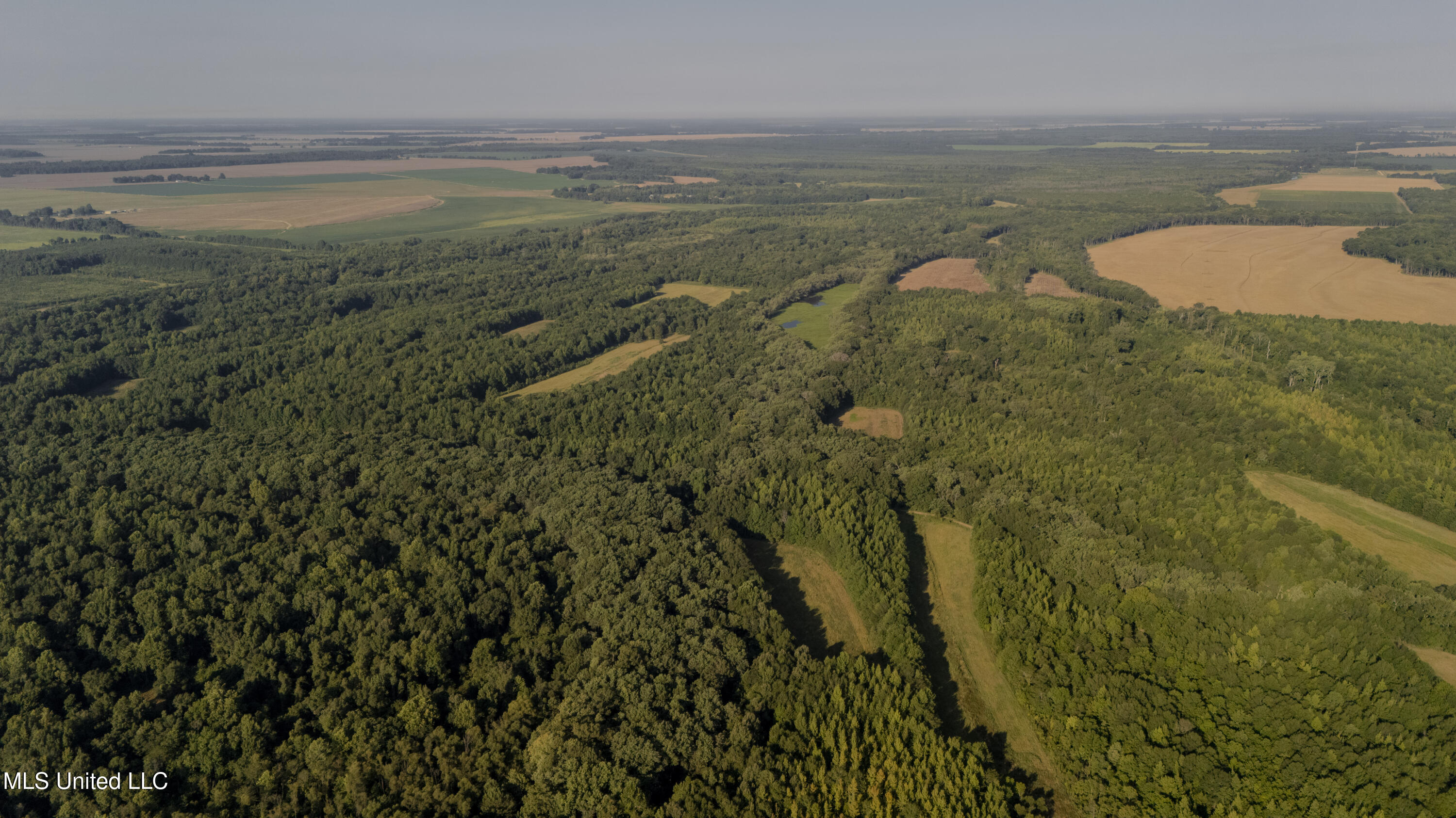 533 County Road Sidon, MS 38954 - Photo 45 of 67 DIXIE BRAKE-PHOTOS-114