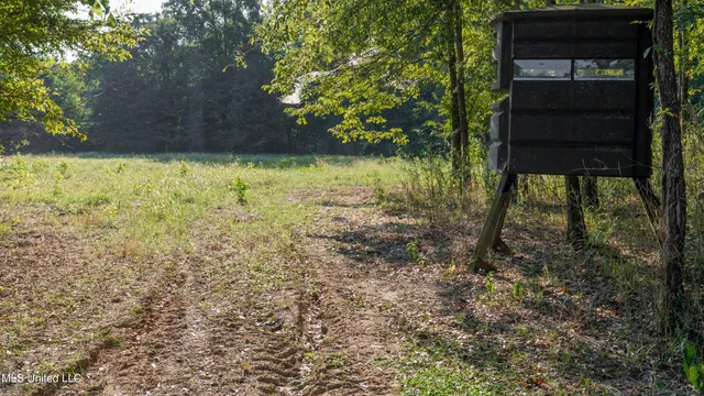 $6,900,000 | 533 County Road, Sidon, MS 38954