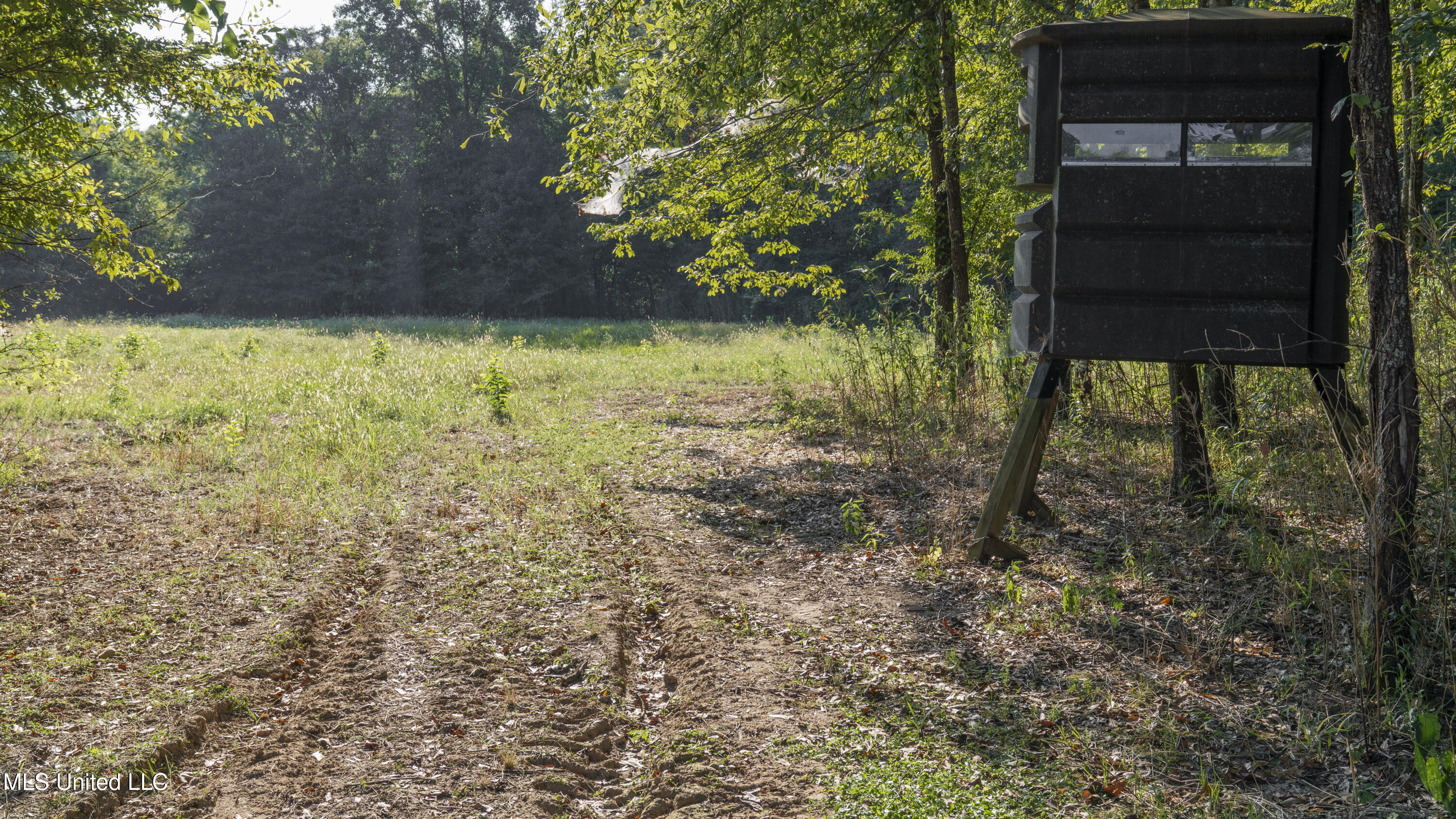 533 County Road Sidon, MS 38954 - Photo 47 of 67 DIXIE BRAKE-PHOTOS-117