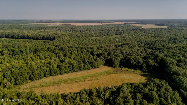 $6,900,000 | 533 County Road, Sidon, MS 38954