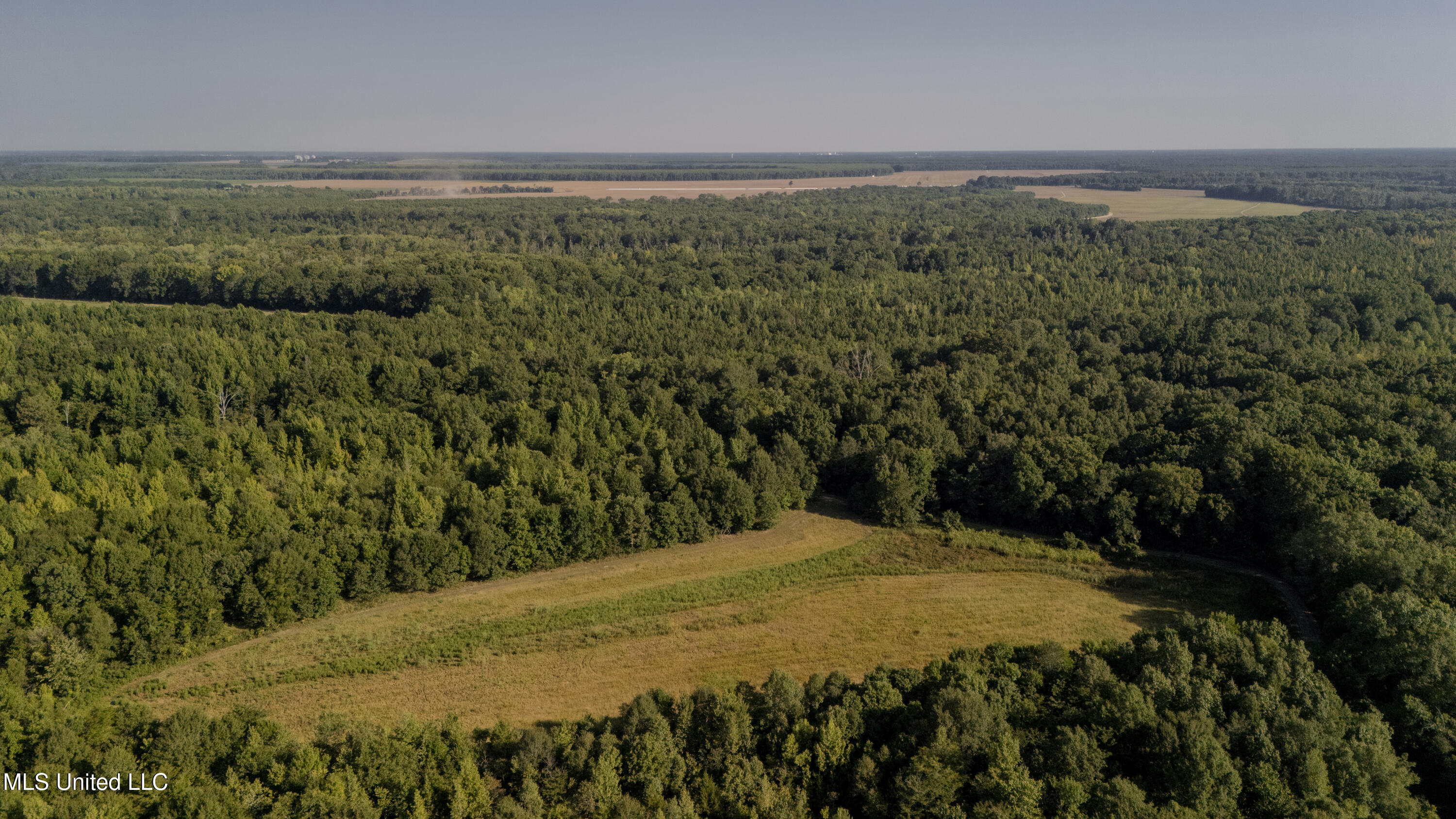 533 County Road Sidon, MS 38954 - Photo 48 of 67 DIXIE BRAKE-PHOTOS-118