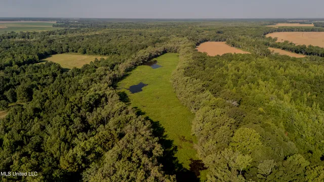 $6,900,000 | 533 County Road, Sidon, MS 38954