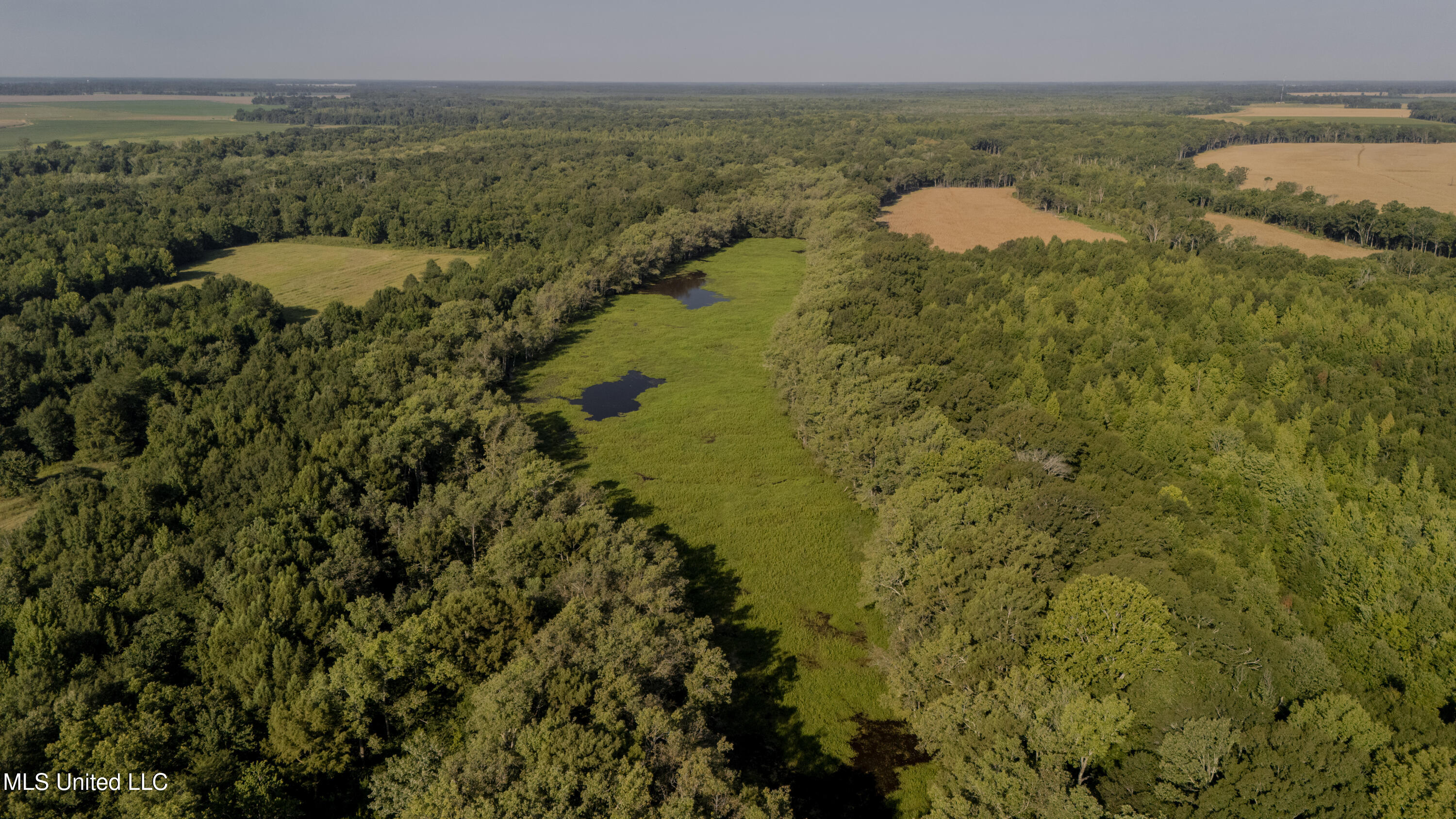 533 County Road Sidon, MS 38954 - Photo 49 of 67 DIXIE BRAKE-PHOTOS-122