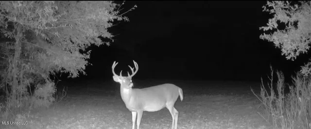 $6,900,000 | 533 County Road, Sidon, MS 38954