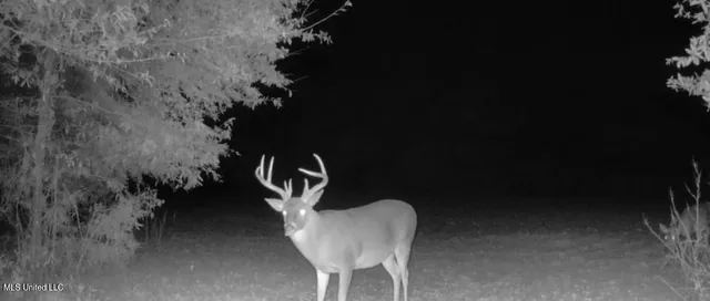 $6,900,000 | 533 County Road, Sidon, MS 38954