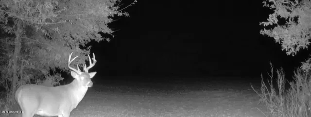 $6,900,000 | 533 County Road, Sidon, MS 38954