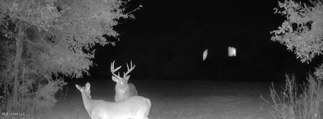 $6,900,000 | 533 County Road, Sidon, MS 38954