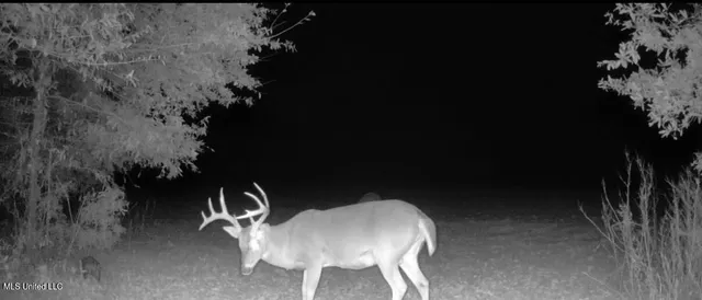 $6,900,000 | 533 County Road, Sidon, MS 38954