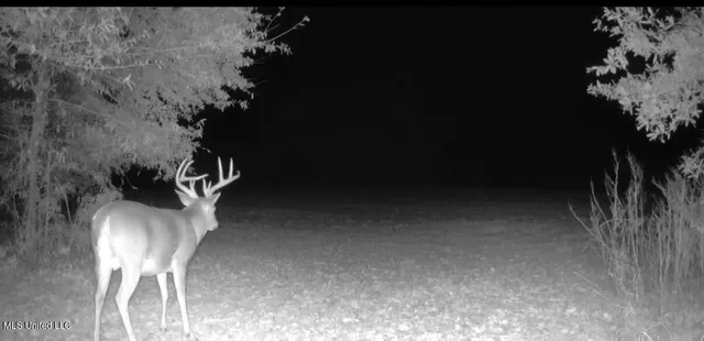 $6,900,000 | 533 County Road, Sidon, MS 38954