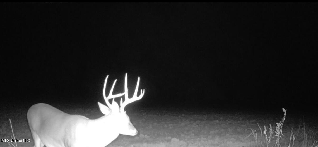 533 County Road Sidon, MS 38954 - Photo 66 of 67 IMG_0808