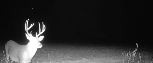 $6,900,000 | 533 County Road, Sidon, MS 38954