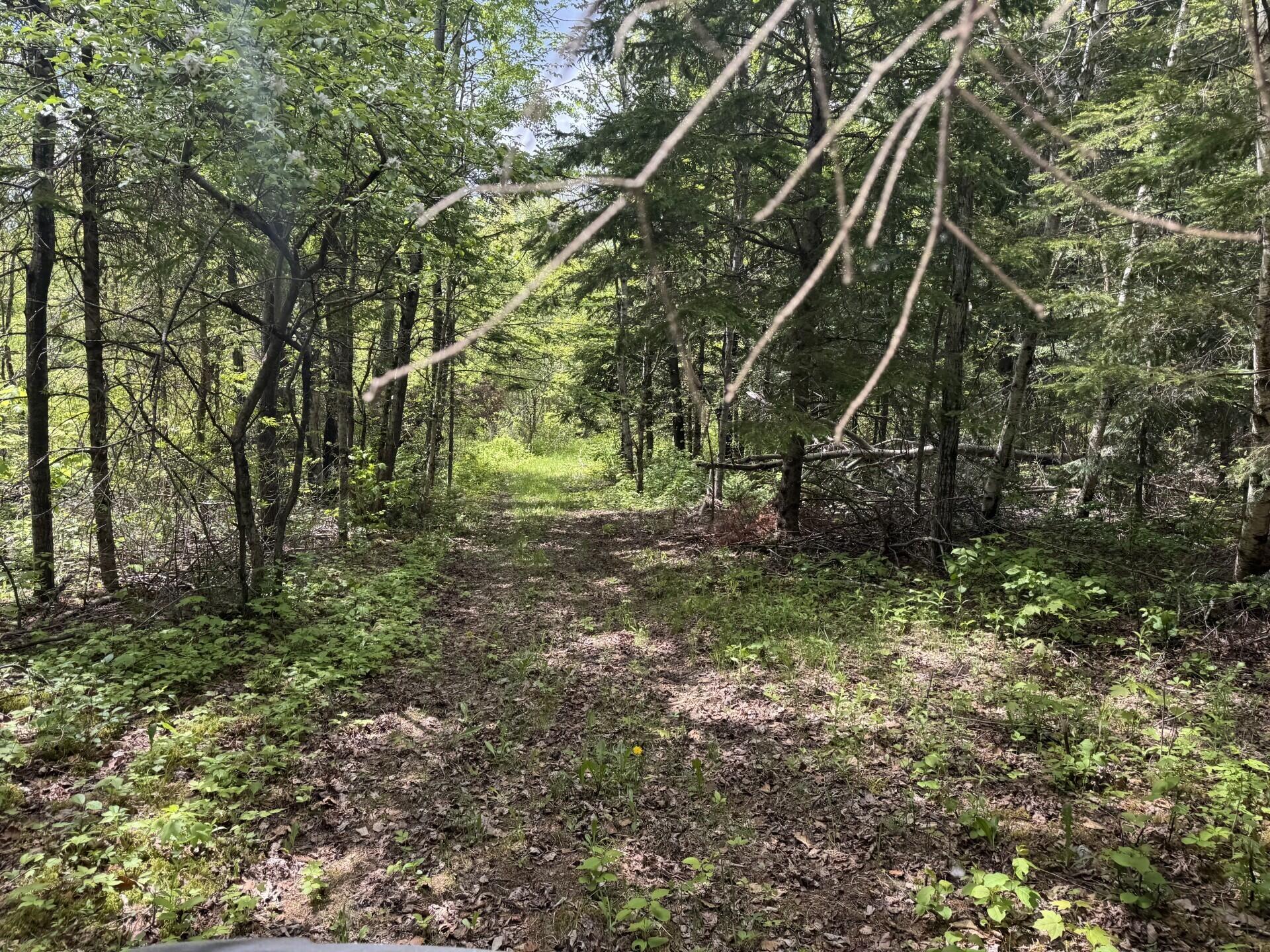 328 Clark Road Merrill, ME 04780 - Photo 55 of 55 Western Trail (328 Clark Road) IV
