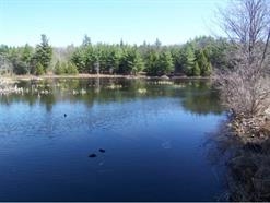 32 Mountain School Road, Unit 410165 Weare, NH 03281 - Photo 1 of 2