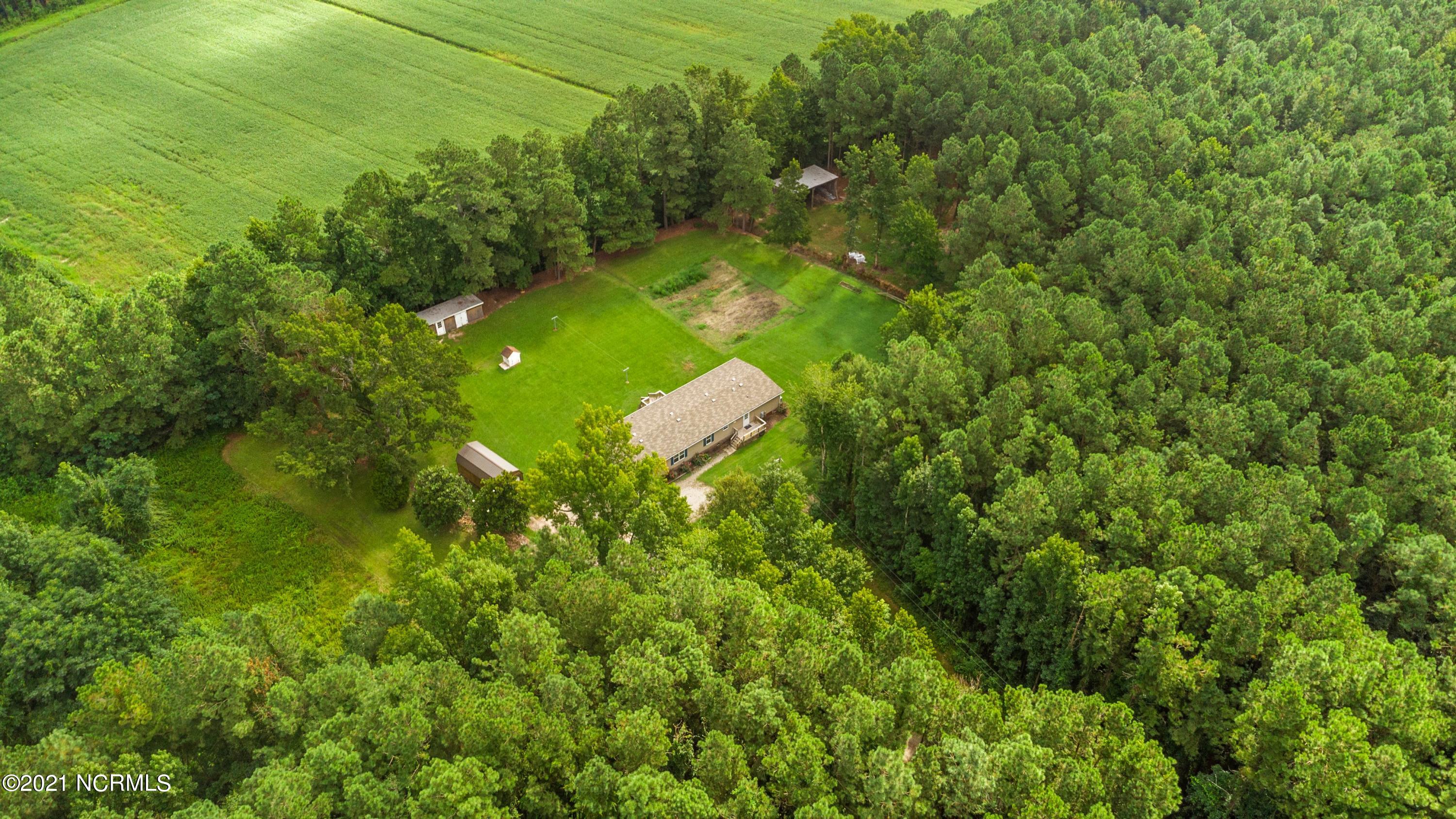 480 Pike Road Pantego, NC 27860 - Photo 11 of 40 36-print-DJI_0006