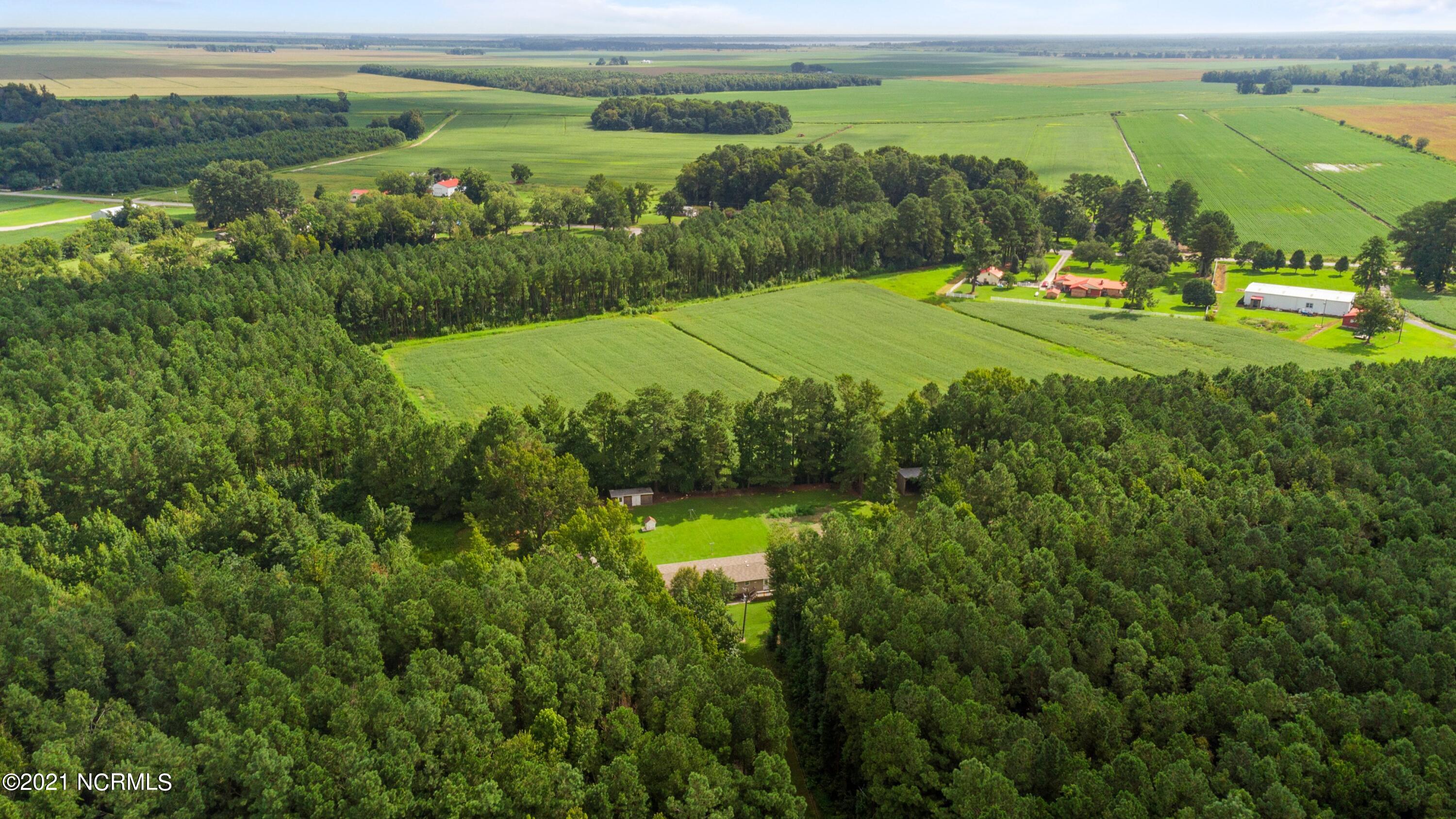 480 Pike Road Pantego, NC 27860 - Photo 13 of 40 38-print-DJI_0008