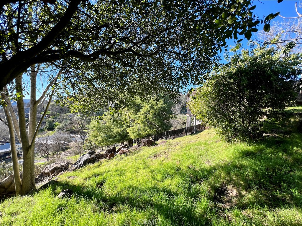 13517 Arrowhead Road Clearlake, CA 95422 - Photo 21 of 37 a view of a yard with a tree
