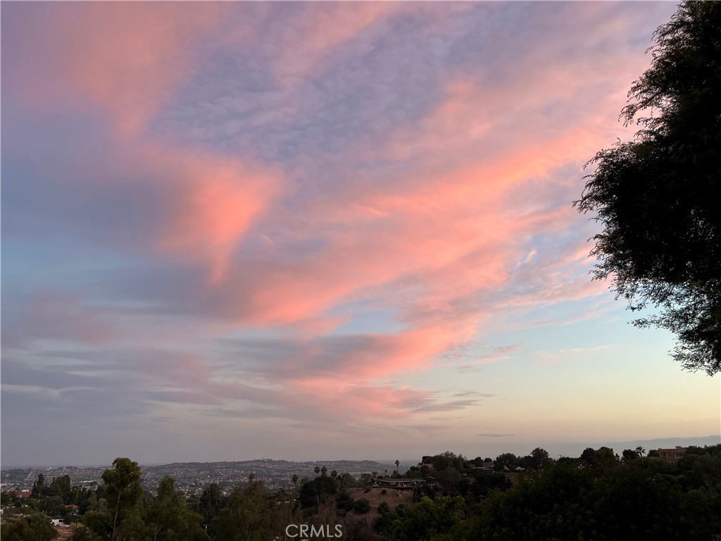 918 Dorothea Road La Habra Heights, CA 90631 - Photo 3 of 42