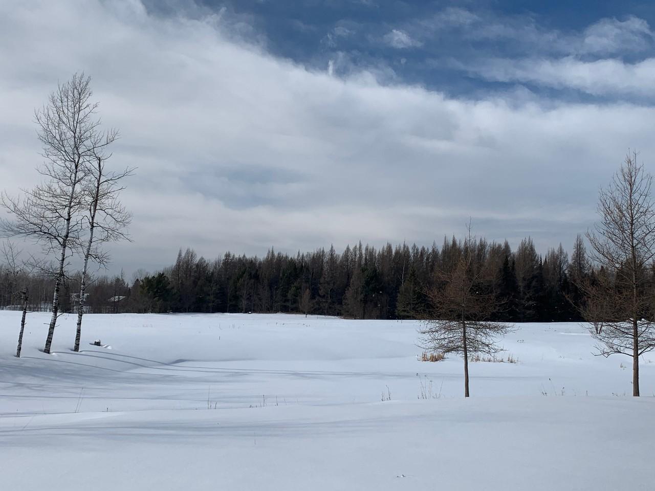On Kurtz Road Rhinelander, WI 54501 - Photo 6 of 10 Gallery Image 6