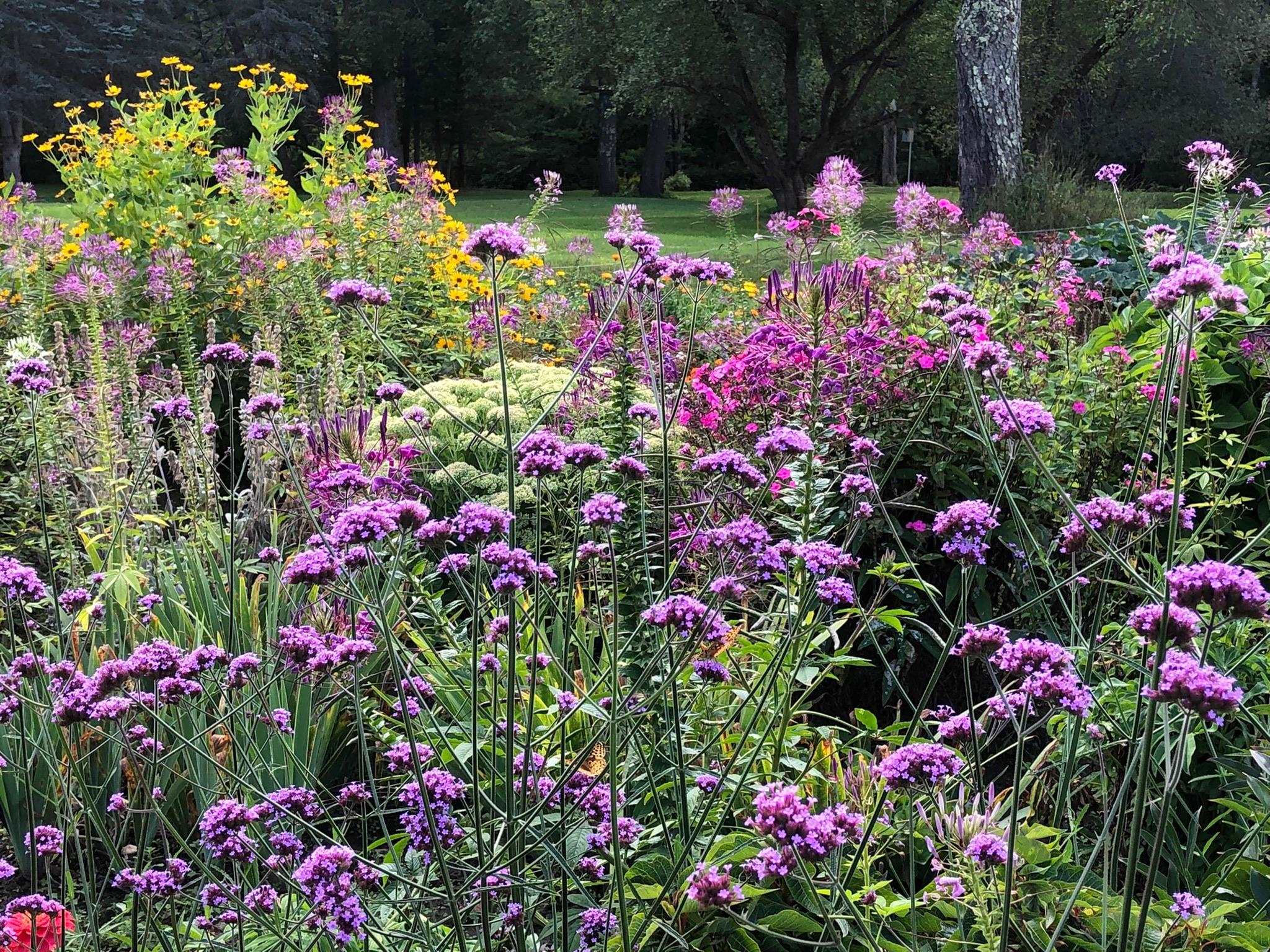 317 Highway 110 Chelsea, VT 05038 - Photo 50 of 58