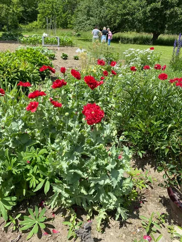 $315,000 | 317 Highway 110, Chelsea, VT 05038