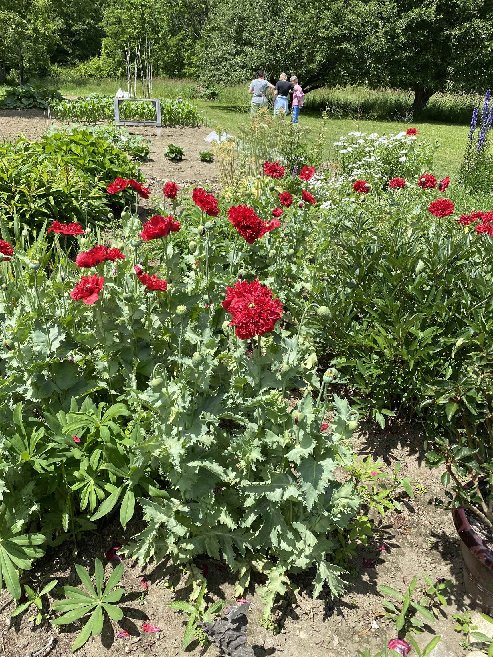 317 Highway 110 Chelsea, VT 05038 - Photo 53 of 58