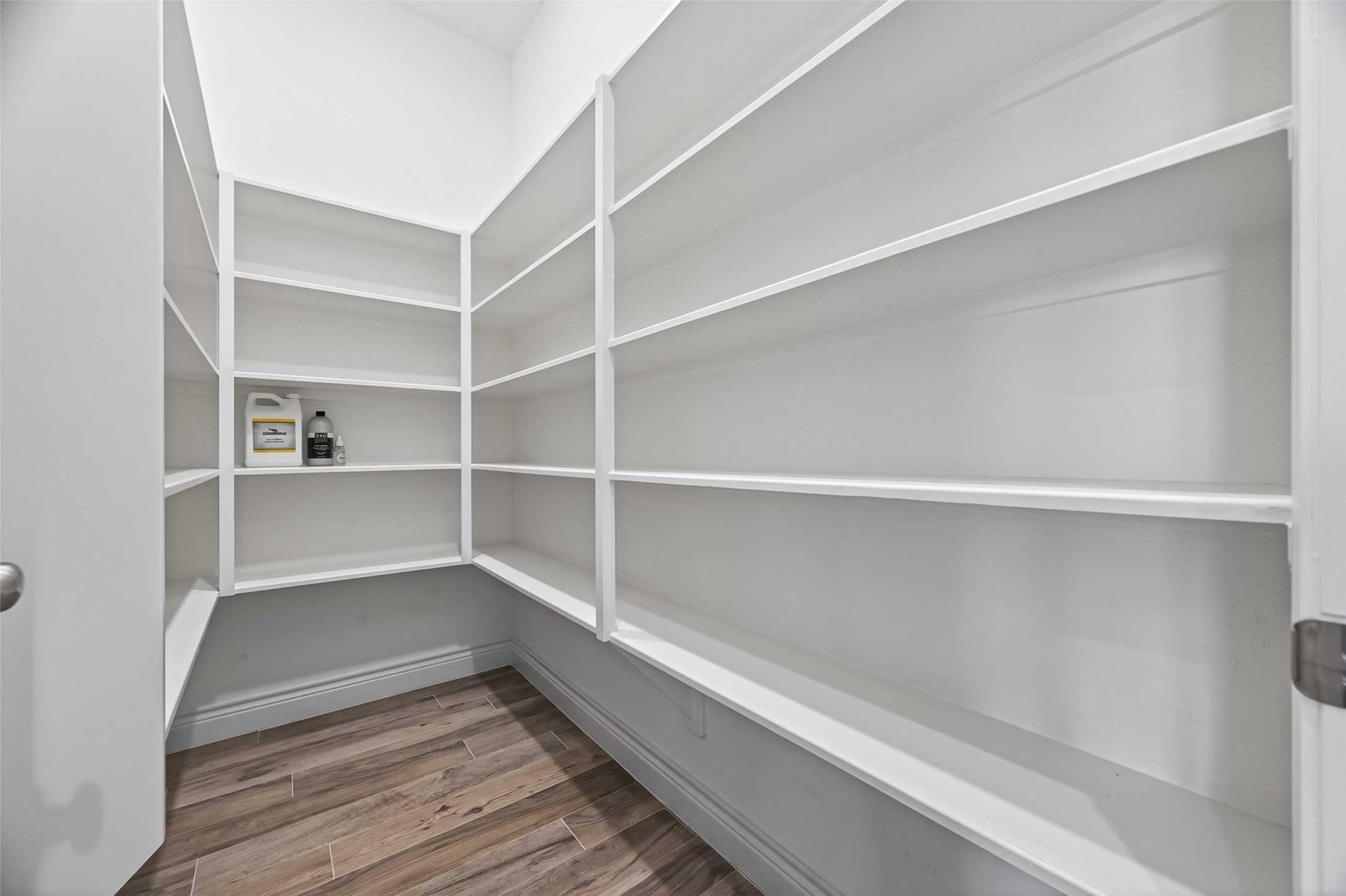 803 Lily Lane Rosharon, TX 77583 - Photo 19 of 36 Large walk in pantry