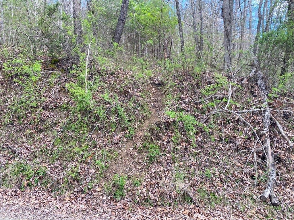 Tbd Sowers Road Northeast Floyd, VA 24091 - Photo 28 of 30 Gallery Image 28