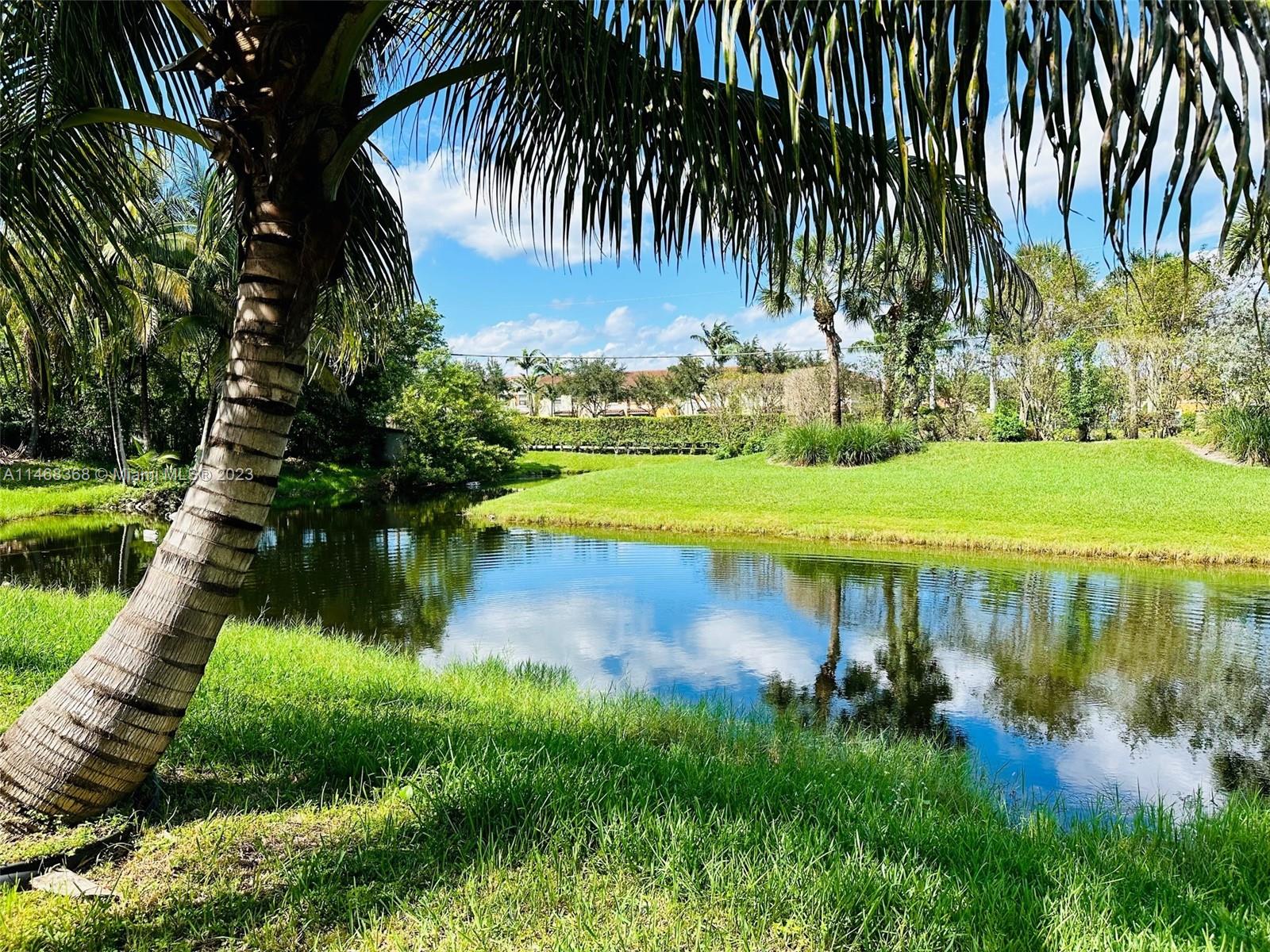 12441 Southwest 1st Street Plantation, FL 33325 - Photo 27 of 37 a view of a lake with a yard and large trees
