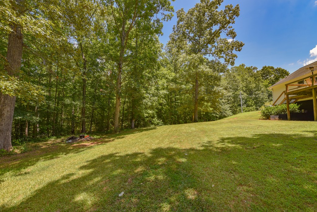 2275 Highway 184 Due West, SC 29639 - Photo 31 of 40