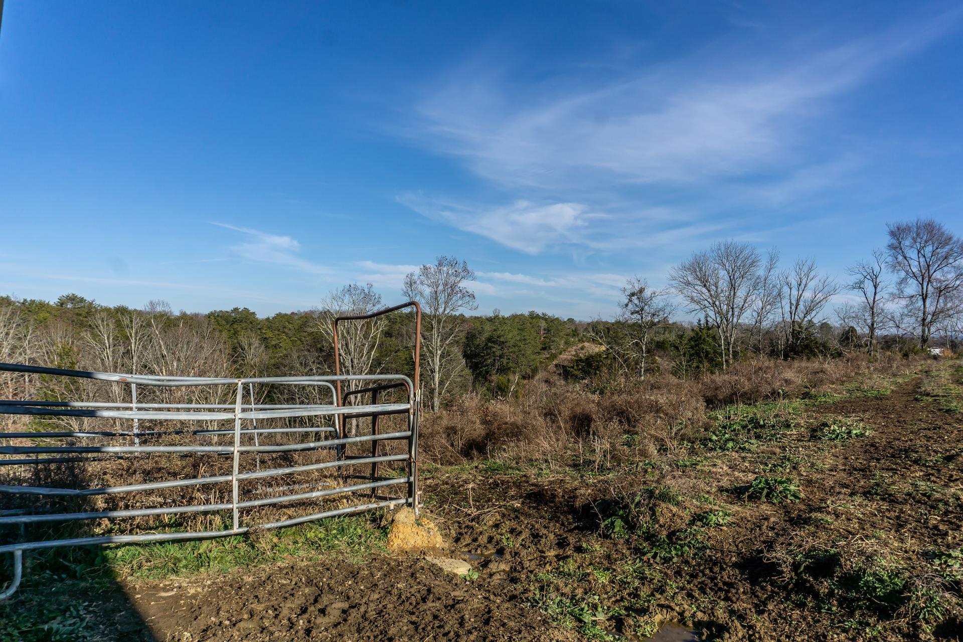 245 Oasis Road Bulls Gap, TN 37711 - Photo 54 of 77 245OasisBG_063