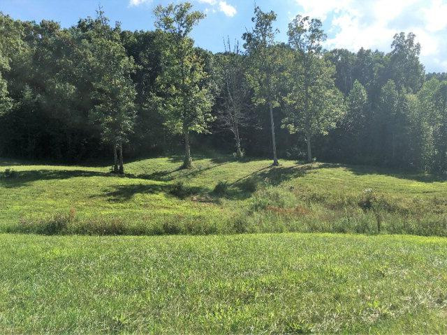 875 Crooked Creek Road Irvine, KY 40336 - Photo 5 of 17 Listing Photo